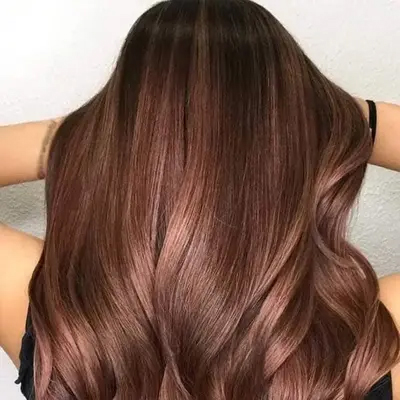 global color in faridabad - Monika Makeover
